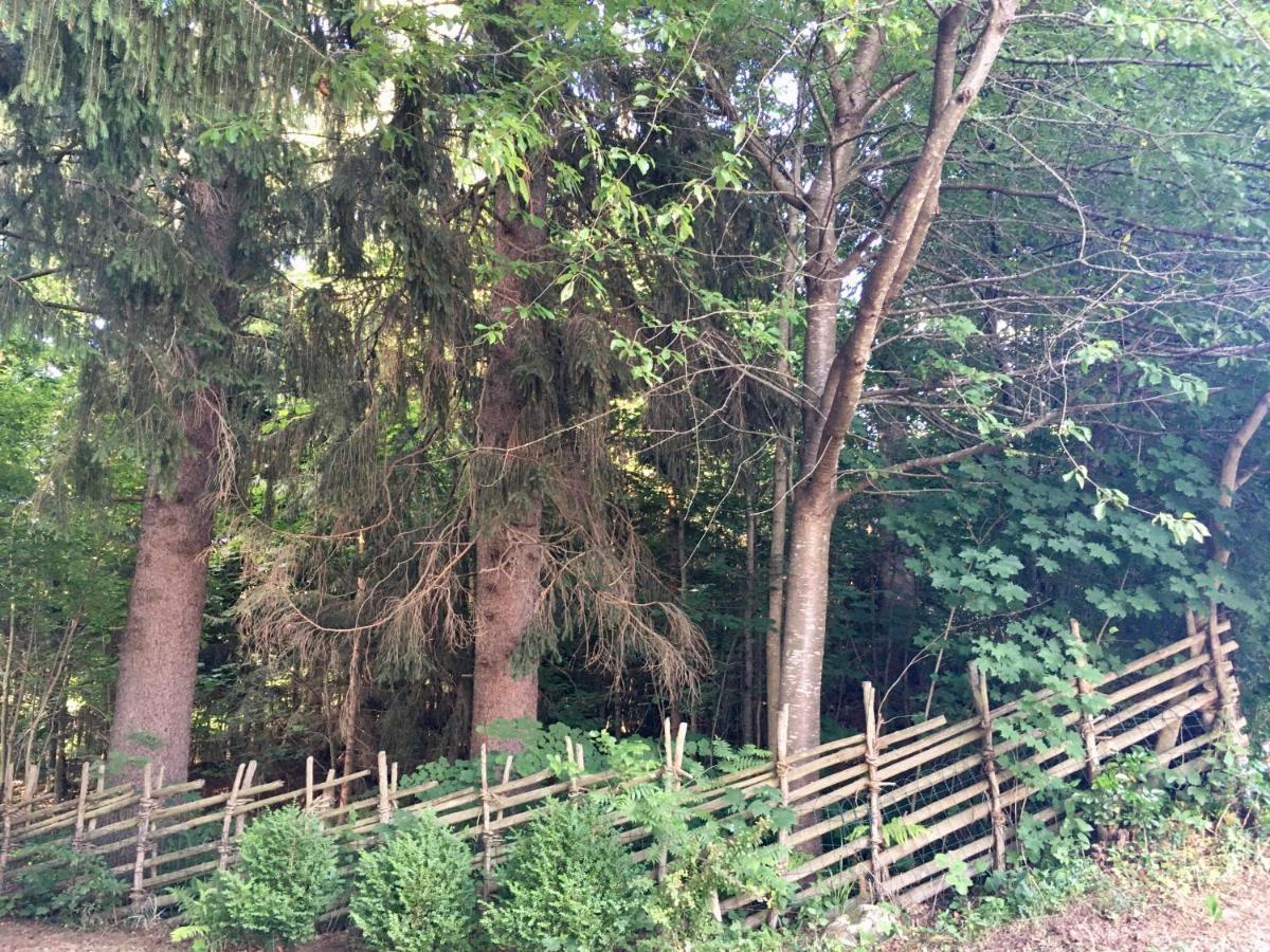 Naturforsthaus Ferienwohnung Fuer Hunde- Und Tierverbundene Menschen Preitenegg Extérieur photo