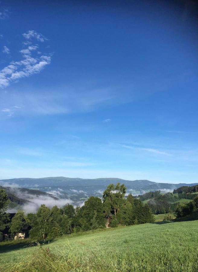 Naturforsthaus Ferienwohnung Fuer Hunde- Und Tierverbundene Menschen Preitenegg Extérieur photo
