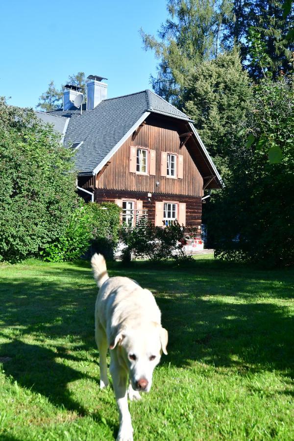 Naturforsthaus Ferienwohnung Fuer Hunde- Und Tierverbundene Menschen Preitenegg Extérieur photo